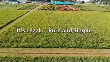 Free download 4-188 | #1 Full-Spectrum CBD Denver Colorado Manufacturing, Isolate | Factory6 CBD: ND NC NY NM NJ NH NV | video and edit with RedcoolMedia movie maker MovieStudio video editor online and AudioStudio audio editor onlin