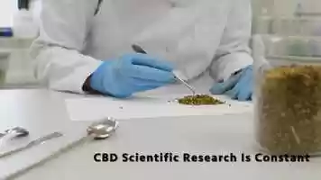 Free download 4-190 | #1 Full-Spectrum CBD Delta, UTAH Manufacturing, Soft Gels | Factory6 CBD: OK OH ND NC NY NM NJ | video and edit with RedcoolMedia movie maker MovieStudio video editor online and AudioStudio audio editor onlin