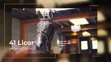 Free download 41_Licor video and edit with RedcoolMedia movie maker MovieStudio video editor online and AudioStudio audio editor onlin