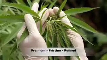 Free download 4-242 | #1 Full-Spectrum CBD Ann Arbor, MI Manufacturing, AquaBlend Sachets | Factory6 CBD: OR OK OH ND NC NY NM | video and edit with RedcoolMedia movie maker MovieStudio video editor online and AudioStudio audio editor onlin