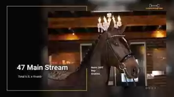 Free download 47 Main Stream video and edit with RedcoolMedia movie maker MovieStudio video editor online and AudioStudio audio editor onlin