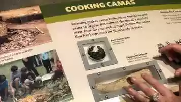 Free download 4b1 Early Native Foods video and edit with RedcoolMedia movie maker MovieStudio video editor online and AudioStudio audio editor onlin