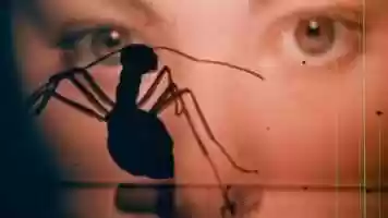 Free download 4. It Didnt Start on Earth You Know - PHASE IV - 1974 video and edit with RedcoolMedia movie maker MovieStudio video editor online and AudioStudio audio editor onlin