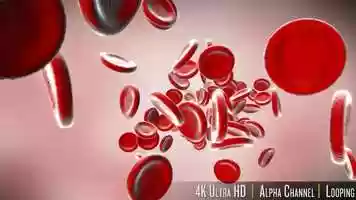 Free download 4k Stream of Red Blood Cells in Front video and edit with RedcoolMedia movie maker MovieStudio video editor online and AudioStudio audio editor onlin