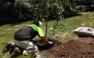 Free download 524-924 Action 3 video and edit with RedcoolMedia movie maker MovieStudio video editor online and AudioStudio audio editor onlin