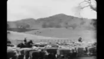 Free download 57 59798 218 video and edit with RedcoolMedia movie maker MovieStudio video editor online and AudioStudio audio editor onlin