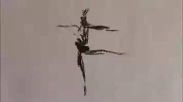 Free download 5 Dancers in Charcoal (2017) video and edit with RedcoolMedia movie maker MovieStudio video editor online and AudioStudio audio editor onlin