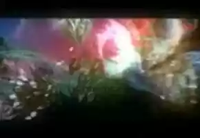 Free download 5Dolls4anAugustMoon Trailer video and edit with RedcoolMedia movie maker MovieStudio video editor online and AudioStudio audio editor onlin