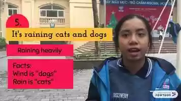 Free download 5 idioms 2 video and edit with RedcoolMedia MovieStudio video editor online and AudioStudio audio editor onlin