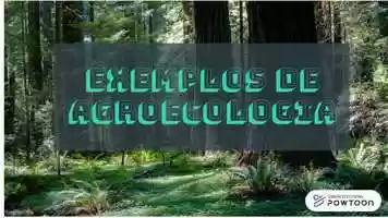 Free download 5 Quick Facts video and edit with RedcoolMedia movie maker MovieStudio video editor online and AudioStudio audio editor onlin