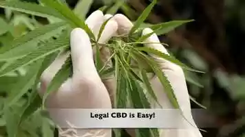 Free download 6-022 | Erda, UTAH Cannabidiol (CBD) AquaBlend Sachets | Better Pricing Factory6-CBD | Available in: MA MD ME LA KY video and edit with RedcoolMedia movie maker MovieStudio video editor online and AudioStudio audio editor onlin