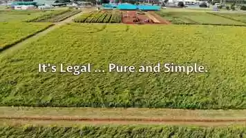 Free download 6-028 | Grantsville, UTAH Cannabidiol (CBD) Isolate | 1-Hour Response Service Factory6+CBD | Available in: NE MT MO MS MN video and edit with RedcoolMedia movie maker MovieStudio video editor online and AudioStudio audio editor onlin