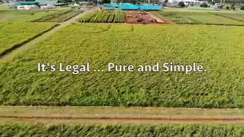 Free download 6-088 | Tooele, UTAH Cannabidiol (CBD) Isolate | 1-Hour Response Service Factory6+CBD | Available in: OK OH ND NC NY video and edit with RedcoolMedia movie maker MovieStudio video editor online and AudioStudio audio editor onlin