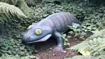 Free download 6a5 Eryops Amphibian Ancestry video and edit with RedcoolMedia MovieStudio video editor online and AudioStudio audio editor onlin