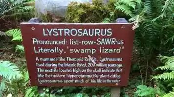 Free download 6c4 Lystrosaurus video and edit with RedcoolMedia movie maker MovieStudio video editor online and AudioStudio audio editor onlin
