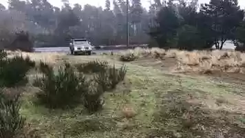 Free download 76 F100 4X4 video and edit with RedcoolMedia movie maker MovieStudio video editor online and AudioStudio audio editor onlin