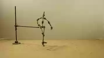 Free download 8 Count Dance video and edit with RedcoolMedia movie maker MovieStudio video editor online and AudioStudio audio editor onlin