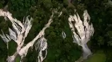 Free download 8 Million Hectares Gone in 2019 After Fires Devastate The Amazon Rainforest. The Movement Responds. video and edit with RedcoolMedia movie maker MovieStudio video editor online and AudioStudio audio editor onlin