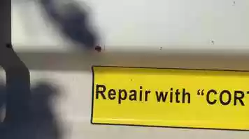 Free download 9b3 Lady Beetle Aestivation video and edit with RedcoolMedia movie maker MovieStudio video editor online and AudioStudio audio editor onlin