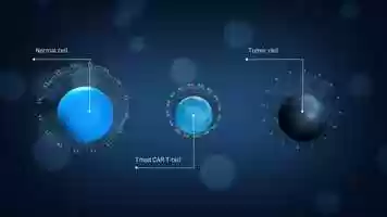 Free download A2 BIO  Our Science video and edit with RedcoolMedia movie maker MovieStudio video editor online and AudioStudio audio editor onlin