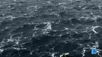 Free download #AbandonedExpeditionShipwreck video and edit with RedcoolMedia movie maker MovieStudio video editor online and AudioStudio audio editor onlin