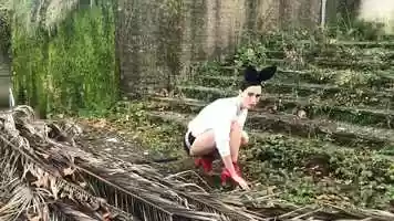 Free download ABOUT BUNNY video and edit with RedcoolMedia movie maker MovieStudio video editor online and AudioStudio audio editor onlin