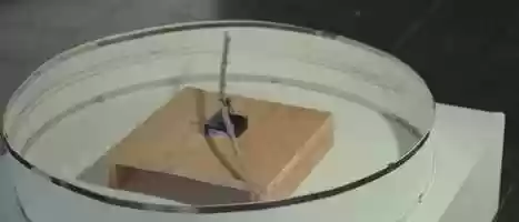 Free download About movement video and edit with RedcoolMedia movie maker MovieStudio video editor online and AudioStudio audio editor onlin