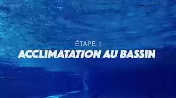 Free download Acclimatation au bassin - Etape 1 - Aisance aquatique video and edit with RedcoolMedia movie maker MovieStudio video editor online and AudioStudio audio editor onlin