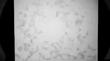 Free download Achoo video and edit with RedcoolMedia movie maker MovieStudio video editor online and AudioStudio audio editor onlin