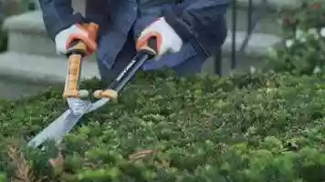 Free download A Conversation video and edit with RedcoolMedia movie maker MovieStudio video editor online and AudioStudio audio editor onlin