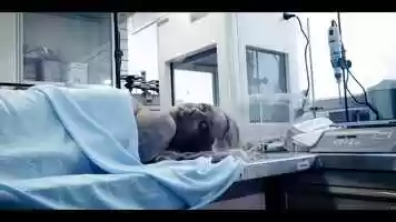 Free download ACRIMONA | Horror Scene Short Film | NAF video and edit with RedcoolMedia movie maker MovieStudio video editor online and AudioStudio audio editor onlin