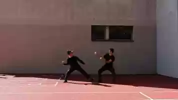 Free download Acrocinus en mouvement.- video and edit with RedcoolMedia movie maker MovieStudio video editor online and AudioStudio audio editor onlin