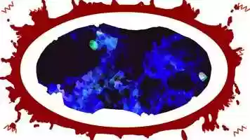 Free download Actualization video and edit with RedcoolMedia movie maker MovieStudio video editor online and AudioStudio audio editor onlin