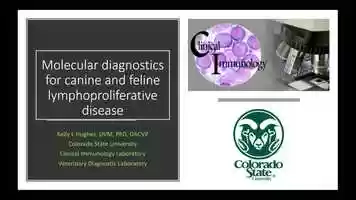 Free download ACVP Education Webinar_ Molecular Diagnostics for Canine and Feline Lymphoproliferative Disease with Case Examples video and edit with RedcoolMedia movie maker MovieStudio video editor online and AudioStudio audio editor onlin