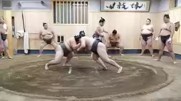 Free download A day in the life of sumo wrestlers video and edit with RedcoolMedia movie maker MovieStudio video editor online and AudioStudio audio editor onlin