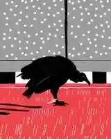 Free download ADIDAS - FLAMENGO 1895 video and edit with RedcoolMedia movie maker MovieStudio video editor online and AudioStudio audio editor onlin