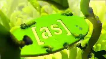 Free download Adult Swim Bumper Mock Up III video and edit with RedcoolMedia movie maker MovieStudio video editor online and AudioStudio audio editor onlin