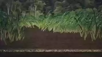 Free download Adventurer scare of bugs? Animation test video and edit with RedcoolMedia movie maker MovieStudio video editor online and AudioStudio audio editor onlin