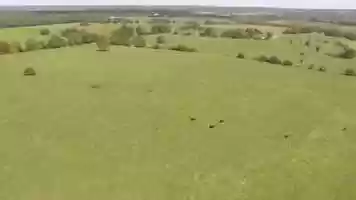 Free download 葛巻陽平 Aerial View Of Animals Running In The Field video and edit with RedcoolMedia movie maker MovieStudio video editor online and AudioStudio audio editor onlin