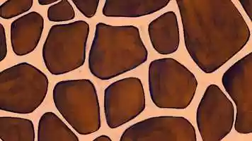 Free download AFAR Travel Tales: Out of Sight video and edit with RedcoolMedia movie maker MovieStudio video editor online and AudioStudio audio editor onlin