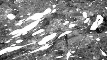 Free download A Film About Water III video and edit with RedcoolMedia movie maker MovieStudio video editor online and AudioStudio audio editor onlin