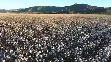 Free download Africa Fest USA 2019 video and edit with RedcoolMedia movie maker MovieStudio video editor online and AudioStudio audio editor onlin