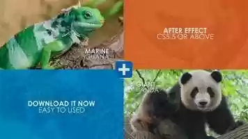 Free download After Effects Template - Flat Logo Animation video and edit with RedcoolMedia movie maker MovieStudio video editor online and AudioStudio audio editor onlin