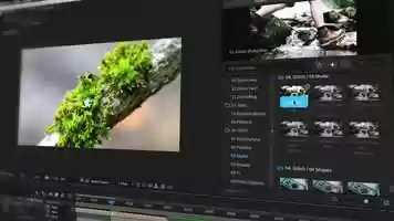 Free download After Effects Template - Transitions SuperCut video and edit with RedcoolMedia movie maker MovieStudio video editor online and AudioStudio audio editor onlin