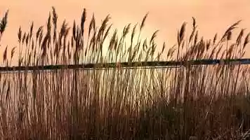 Free download Afternoon On A Hill video and edit with RedcoolMedia movie maker MovieStudio video editor online and AudioStudio audio editor onlin