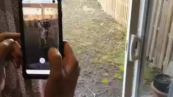 Free download A Fun Activity to Do with the Kids video and edit with RedcoolMedia movie maker MovieStudio video editor online and AudioStudio audio editor onlin