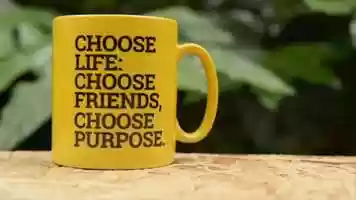 Free download A funky little Camerados montage video and edit with RedcoolMedia movie maker MovieStudio video editor online and AudioStudio audio editor onlin