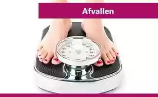 Free download Afvallen video and edit with RedcoolMedia movie maker MovieStudio video editor online and AudioStudio audio editor onlin