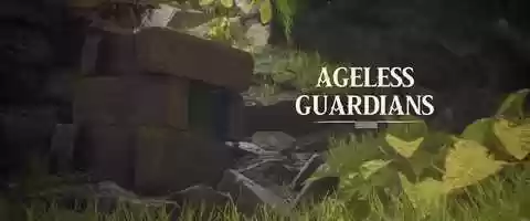 Free download Ageless Guardians (2019) video and edit with RedcoolMedia movie maker MovieStudio video editor online and AudioStudio audio editor onlin