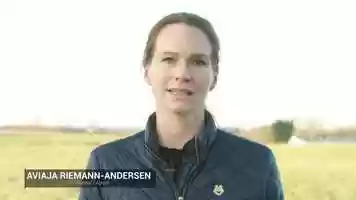 Free download Agrain video and edit with RedcoolMedia movie maker MovieStudio video editor online and AudioStudio audio editor onlin